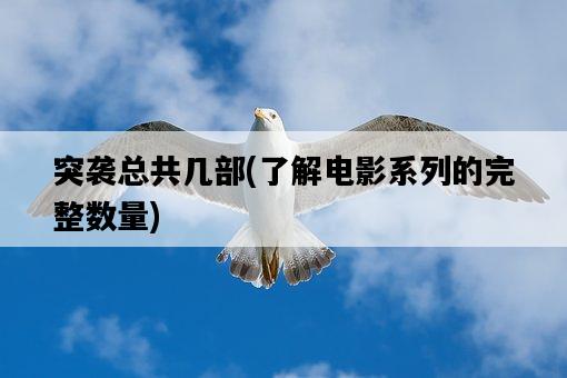 突襲總共幾部，了解電影系列的完整數量-圖1