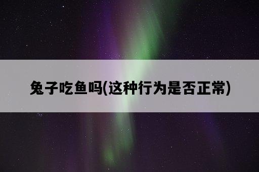 兔子吃魚嗎,這種行為是否正常-圖1 兔子吃魚嗎,這種行為是否正常-圖1