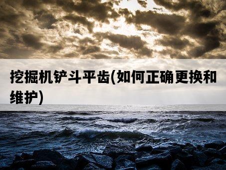 挖掘機鏟斗平齒，如何正確更換和維護-圖1
