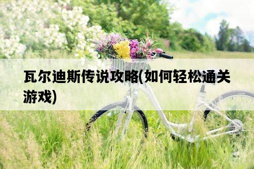 瓦爾迪斯傳說攻略，如何輕松通關游戲-圖1