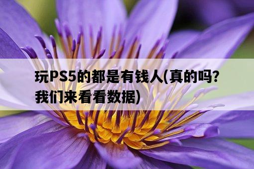 玩PS5的都是有錢人，真的嗎？我們來看看數據-圖1