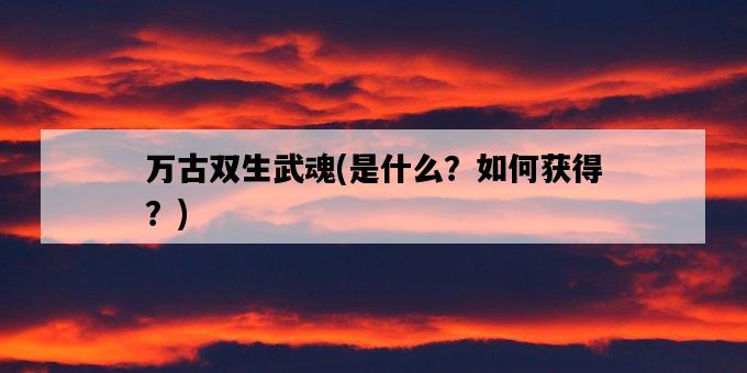 萬古雙生武魂,是什么?如何獲得?-圖1 萬古雙生武魂,是什么?如何獲得?-圖1