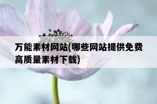萬能素材網站，哪些網站提供免費高質量素材下載-圖1