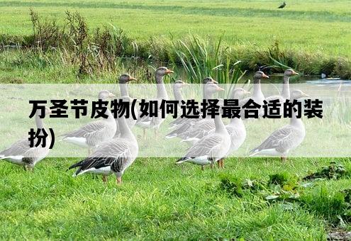 萬圣節皮物，如何選擇最合適的裝扮-圖1