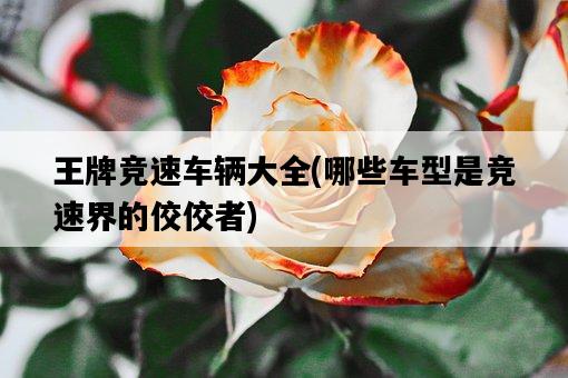 王牌競速車輛大全，哪些車型是競速界的佼佼者-圖1
