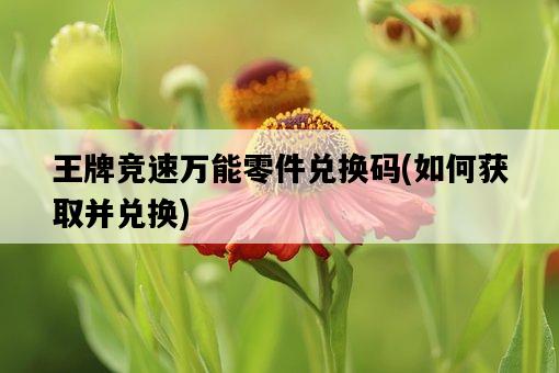 王牌競速萬能零件兌換碼，如何獲取并兌換-圖1