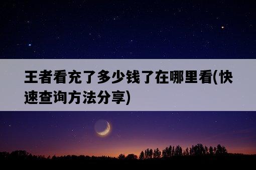 王者看充了多少錢了在哪里看，快速查詢方法分享-圖1