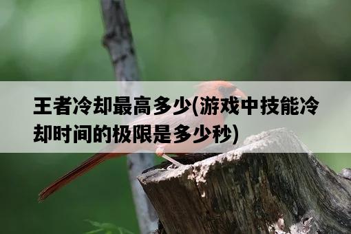 王者冷卻最高多少,游戲中技能冷卻時間的極限是多少秒-圖1 王者冷卻最高多少,游戲中技能冷卻時間的極限是多少秒-圖1