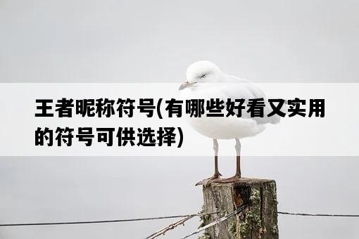 王者昵稱符號，有哪些好看又實用的符號可供選擇-圖1