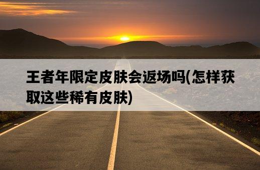 王者年限定皮膚會返場嗎,怎樣獲取這些稀有皮膚-圖1 王者年限定皮膚會返場嗎,怎樣獲取這些稀有皮膚-圖1
