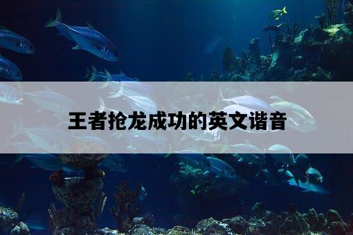 王者搶龍成功的英文諧音-圖1