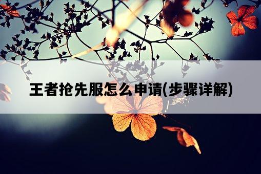王者搶先服怎么申請，步驟詳解-圖1
