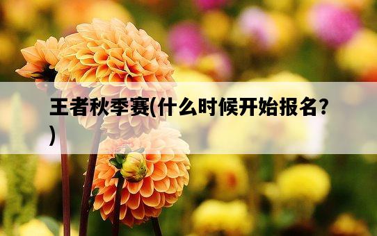 王者秋季賽，什么時候開始報名？-圖1