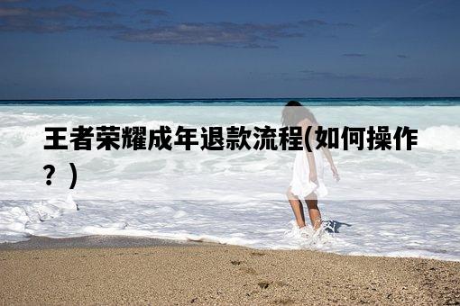 王者榮耀成年退款流程,如何操作?-圖1 王者榮耀成年退款流程,如何操作?-圖1
