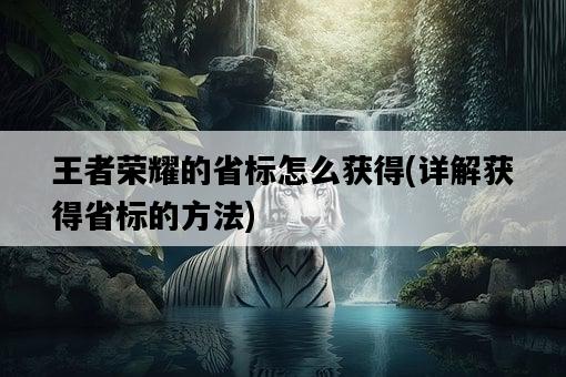 王者榮耀的省標怎么獲得，詳解獲得省標的方法-圖1