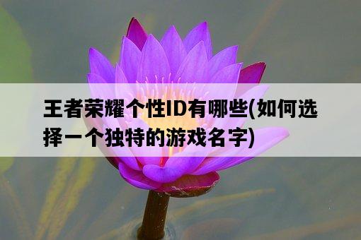 王者榮耀個性ID有哪些，如何選擇一個獨特的游戲名字-圖1