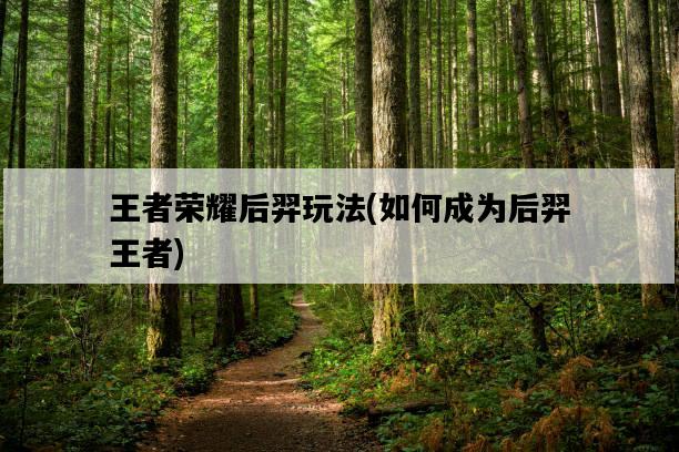 王者榮耀后羿玩法,如何成為后羿王者-圖1 王者榮耀后羿玩法,如何成為后羿王者-圖1