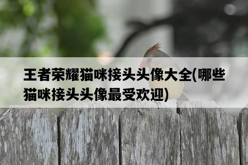 王者榮耀貓咪接頭頭像大全,哪些貓咪接頭頭像最受歡迎-圖1 王者榮耀貓咪接頭頭像大全,哪些貓咪接頭頭像最受歡迎-圖1