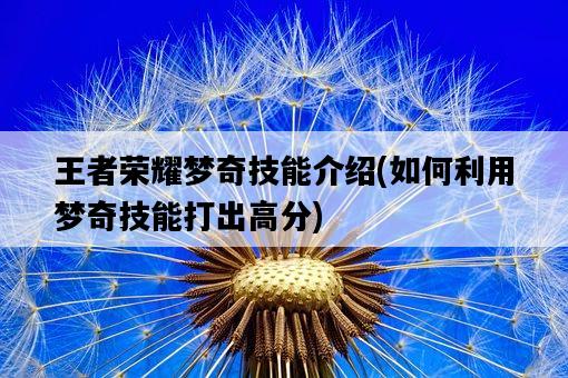 王者榮耀夢奇技能介紹,如何利用夢奇技能打出高分-圖1 王者榮耀夢奇技能介紹,如何利用夢奇技能打出高分-圖1