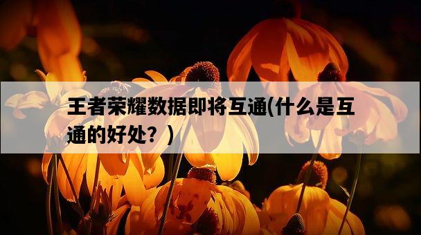 王者榮耀數據即將互通，什么是互通的好處？-圖1