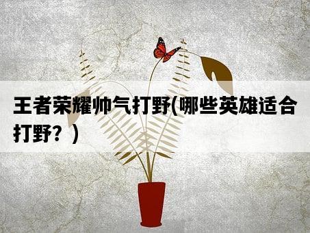 王者榮耀帥氣打野，哪些英雄適合打野？-圖1