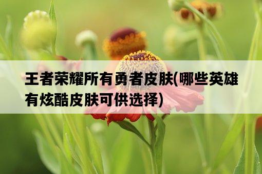 王者榮耀所有勇者皮膚，哪些英雄有炫酷皮膚可供選擇-圖1