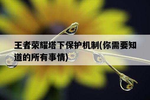 王者榮耀塔下保護機制,你需要知道的所有事情-圖1 王者榮耀塔下保護機制,你需要知道的所有事情-圖1