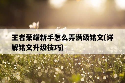 王者榮耀新手怎么弄滿級銘文，詳解銘文升級技巧-圖1