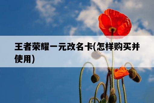 王者榮耀一元改名卡，怎樣購買并使用-圖1