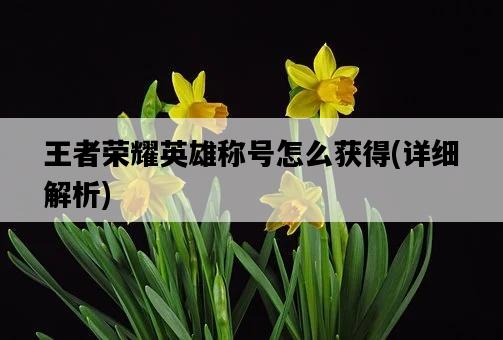 王者榮耀英雄稱號怎么獲得，詳細解析-圖1