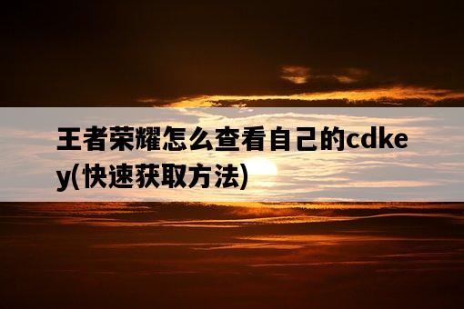 王者榮耀怎么查看自己的cdkey，快速獲取方法-圖1