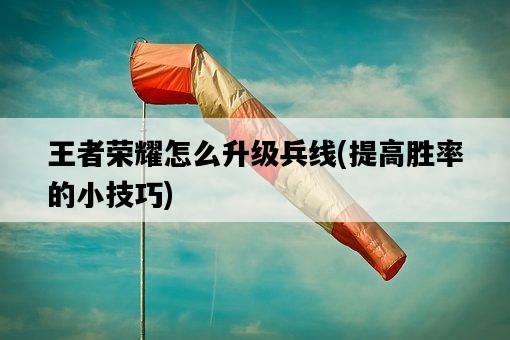 王者榮耀怎么升級兵線，提高勝率的小技巧-圖1