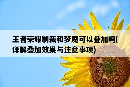 王者榮耀制裁和夢魘可以疊加嗎，詳解疊加效果與注意事項-圖1