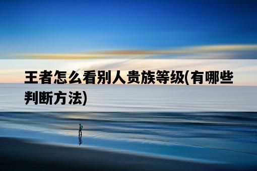 王者怎么看別人貴族等級，有哪些判斷方法-圖1