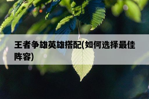 王者爭雄英雄搭配,如何選擇最佳陣容-圖1 王者爭雄英雄搭配,如何選擇最佳陣容-圖1