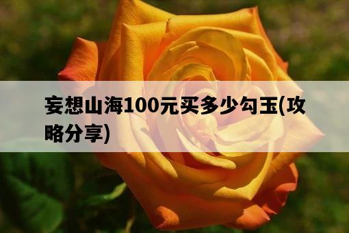 妄想山海100元買多少勾玉，攻略分享-圖1