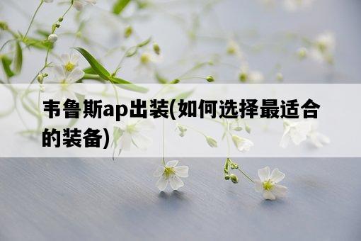 韋魯斯ap出裝，如何選擇最適合的裝備-圖1