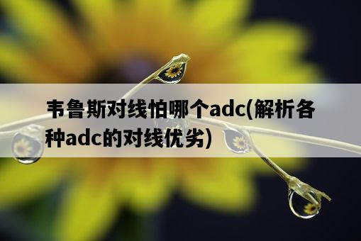 韋魯斯對線怕哪個adc，解析各種adc的對線優劣-圖1