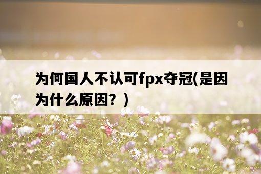 為何國人不認可fpx奪冠，是因為什么原因？-圖1