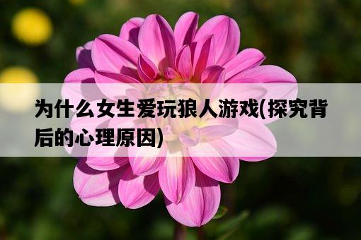 為什么女生愛玩狼人游戲，探究背后的心理原因-圖1