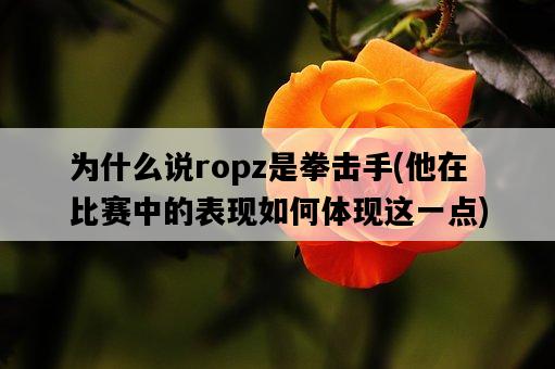 為什么說ropz是拳擊手，他在比賽中的表現如何體現這一點-圖1