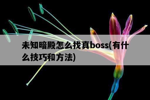 未知暗殿怎么找真boss，有什么技巧和方法-圖1