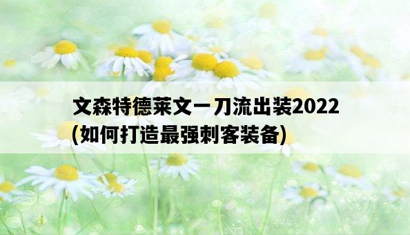文森特德萊文一刀流出裝2022，如何打造最強刺客裝備-圖1