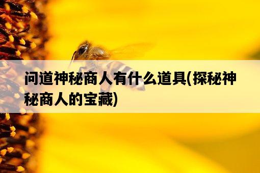 問道神秘商人有什么道具，探秘神秘商人的寶藏-圖1