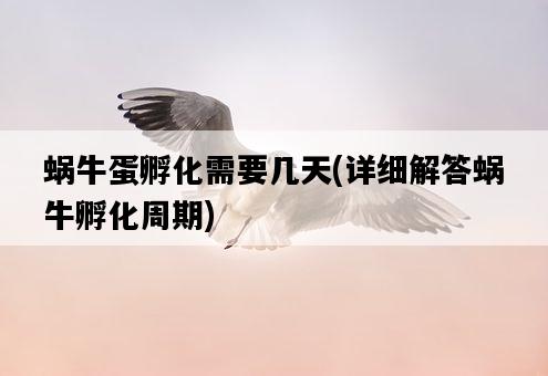 蝸牛蛋孵化需要幾天，詳細解答蝸牛孵化周期-圖1