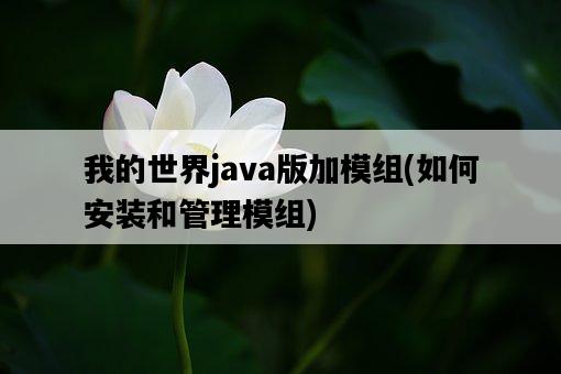 我的世界java版加模組，如何安裝和管理模組-圖1