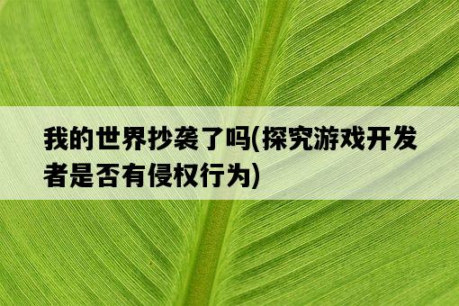 我的世界抄襲了嗎，探究游戲開發者是否有侵權行為-圖1