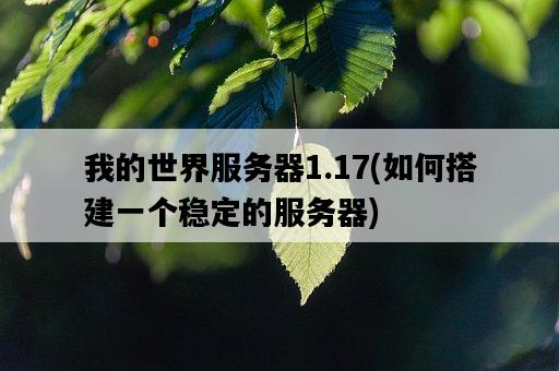 我的世界服務器1.17，如何搭建一個穩定的服務器-圖1