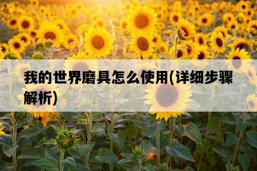 我的世界磨具怎么使用，詳細步驟解析-圖1