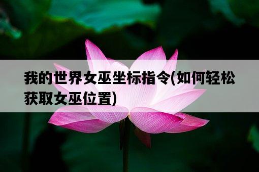 我的世界女巫坐標指令，如何輕松獲取女巫位置-圖1